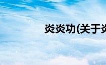 炎炎功(关于炎炎功的简介)