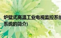 炉壁式高温工业电视监控系统(关于炉壁式高温工业电视监控系统的简介)