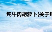 炖牛肉胡萝卜(关于炖牛肉胡萝卜的简介)