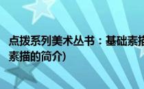 点拨系列美术丛书：基础素描(关于点拨系列美术丛书：基础素描的简介)