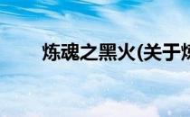 炼魂之黑火(关于炼魂之黑火的简介)