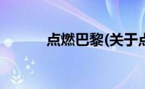 点燃巴黎(关于点燃巴黎的简介)