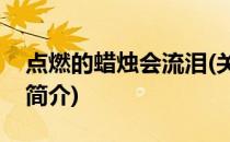 点燃的蜡烛会流泪(关于点燃的蜡烛会流泪的简介)