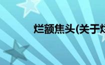烂额焦头(关于烂额焦头的简介)