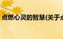 点燃心灵的智慧(关于点燃心灵的智慧的简介)