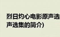 烈日灼心电影原声选集(关于烈日灼心电影原声选集的简介)