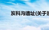 炭科沟遗址(关于炭科沟遗址的简介)