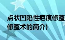 点状凹陷性疤痕修整术(关于点状凹陷性疤痕修整术的简介)