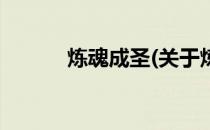 炼魂成圣(关于炼魂成圣的简介)