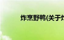 炸烹野鸭(关于炸烹野鸭的简介)
