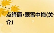 点绛唇·题雪中梅(关于点绛唇·题雪中梅的简介)