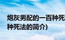 炮灰男配的一百种死法(关于炮灰男配的一百种死法的简介)