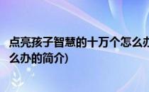 点亮孩子智慧的十万个怎么办(关于点亮孩子智慧的十万个怎么办的简介)