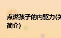 点燃孩子的内驱力(关于点燃孩子的内驱力的简介)
