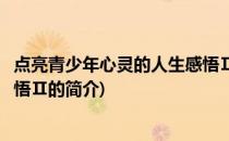 点亮青少年心灵的人生感悟Ⅱ(关于点亮青少年心灵的人生感悟Ⅱ的简介)