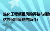 炼化工程项目风险评估与保险策略(关于炼化工程项目风险评估与保险策略的简介)