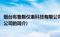 烟台布鲁斯仪表科技有限公司(关于烟台布鲁斯仪表科技有限公司的简介)