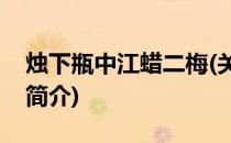 烛下瓶中江蜡二梅(关于烛下瓶中江蜡二梅的简介)