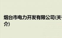 烟台市电力开发有限公司(关于烟台市电力开发有限公司的简介)