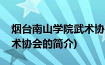 烟台南山学院武术协会(关于烟台南山学院武术协会的简介)