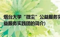 烟台大学“微尘”公益服务实践团(关于烟台大学“微尘”公益服务实践团的简介)
