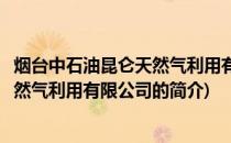 烟台中石油昆仑天然气利用有限公司(关于烟台中石油昆仑天然气利用有限公司的简介)
