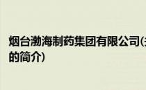 烟台渤海制药集团有限公司(关于烟台渤海制药集团有限公司的简介)