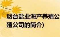 烟台盐业海产养殖公司(关于烟台盐业海产养殖公司的简介)