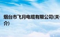 烟台市飞月电缆有限公司(关于烟台市飞月电缆有限公司的简介)
