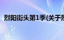 烈阳街头第1季(关于烈阳街头第1季的简介)