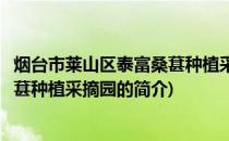烟台市莱山区泰富桑葚种植采摘园(关于烟台市莱山区泰富桑葚种植采摘园的简介)