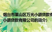烟台市莱山区万光小额贷款有限公司(关于烟台市莱山区万光小额贷款有限公司的简介)