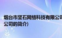 烟台市坚石网络科技有限公司(关于烟台市坚石网络科技有限公司的简介)