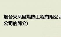 烟台火凤凰燃热工程有限公司(关于烟台火凤凰燃热工程有限公司的简介)