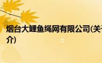 烟台大鲤鱼绳网有限公司(关于烟台大鲤鱼绳网有限公司的简介)