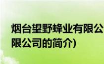 烟台望野蜂业有限公司(关于烟台望野蜂业有限公司的简介)