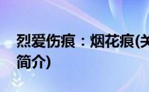 烈爱伤痕：烟花痕(关于烈爱伤痕：烟花痕的简介)