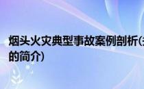 烟头火灾典型事故案例剖析(关于烟头火灾典型事故案例剖析的简介)