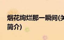 烟花绚烂那一瞬间(关于烟花绚烂那一瞬间的简介)