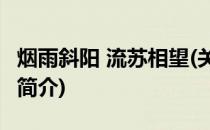 烟雨斜阳 流苏相望(关于烟雨斜阳 流苏相望的简介)