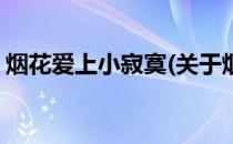 烟花爱上小寂寞(关于烟花爱上小寂寞的简介)
