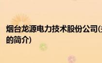 烟台龙源电力技术股份公司(关于烟台龙源电力技术股份公司的简介)