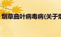 烟草曲叶病毒病(关于烟草曲叶病毒病的简介)