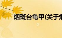 烟斑台龟甲(关于烟斑台龟甲的简介)