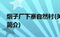 烟子厂下寨自然村(关于烟子厂下寨自然村的简介)