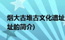 烟大古堆古文化遗址(关于烟大古堆古文化遗址的简介)