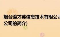 烟台鎏才英信息技术有限公司(关于烟台鎏才英信息技术有限公司的简介)