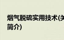 烟气脱硫实用技术(关于烟气脱硫实用技术的简介)