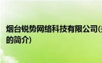 烟台锐势网络科技有限公司(关于烟台锐势网络科技有限公司的简介)
