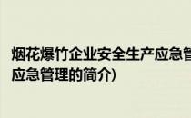 烟花爆竹企业安全生产应急管理(关于烟花爆竹企业安全生产应急管理的简介)